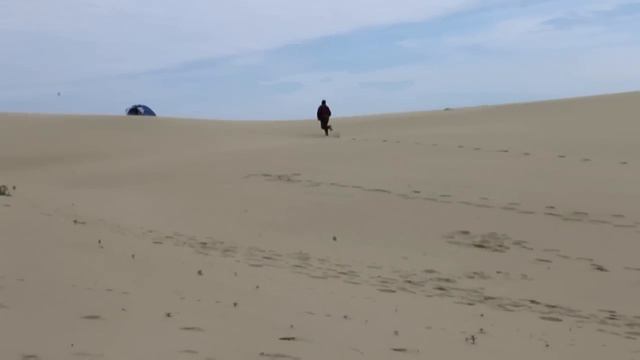 Gone With The Wind . Унесенные ветром.