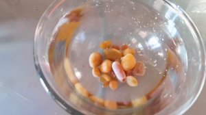 Янтарь камень?? Как отличить настоящий янтарь ?