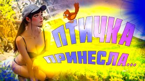 Подними настроение: приколы, что делают чудеса!