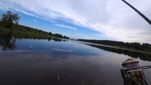 Мормышинг. Ловля подлещика летом на мормышку.