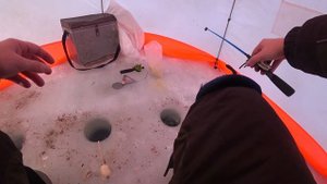 ЛОВЛЯ КРУПНОЙ ПЛОТВЫ. рыбалка со льда.