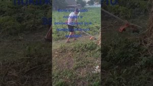 как правильно косить траву