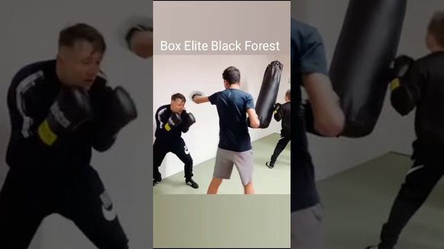 Box Elite Black Forest