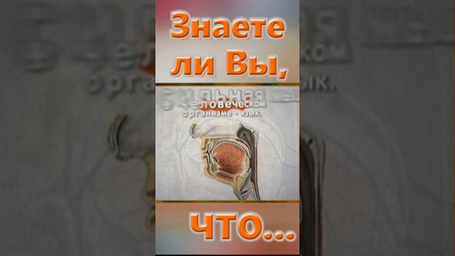 Знаете ли вы, Что? Язык