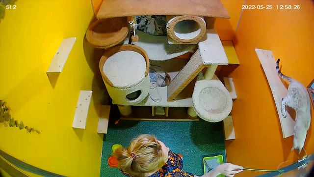 Скучно не будет смотреть онлайн