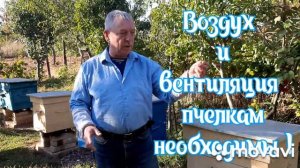 ПАСЕКА.ПЧЕЛОВОДСТВО. Воздух и вентиляция необходимы для здоровой жизни пчёл.