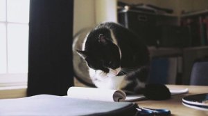 Почему нельзя дарить посуду в подарок? Приметы на кухне