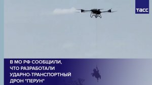В МО РФ сообщили, что разработали ударно-транспортный дрон "Перун"