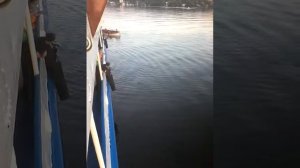 Учебная тревога.Человек за бортом.