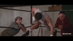 Gonna Fly Now • Bill Conti (Subtitulada)