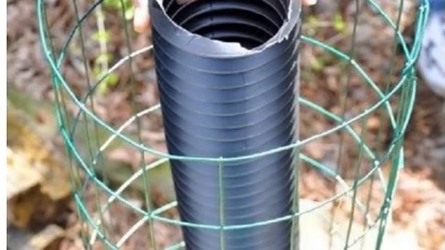 Стоит поместить пластиковую трубу в контейнер, чтобы через пару недель увидеть это смотреть онлайн