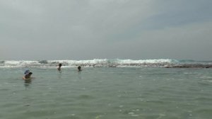 Пляж Виджая бич, бухта черепах. Пляжи Далавелла и Унаватуна. Шри Ланка