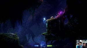 Ori and the Will of the Wisps. Играем вместе. Прохождение часть вторая