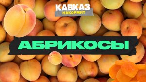 Кавказ накормит. Абрикосы