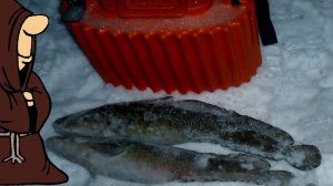 Весенняя рыбалка на Налима с донками на реке, Налим в Марте