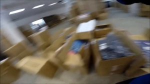 Красная лиса