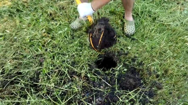 Не покупайте ручной культиватор Торнадо, пока не посмотрите это видео. смотреть онлайн