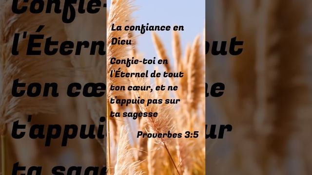 Leçon de Vie Inspirée de la Sagesse Biblique: La confiance en Dieu