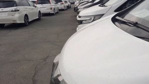 Honda Step Wagon Spada на рынке Зеленый угол Владивосток
