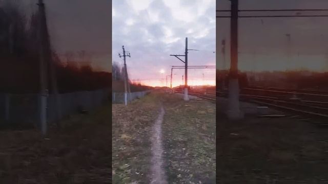 Утренняя красота осени, восход, пробежка и дела на день #дача #цветы #огород #сад#клубника#пробежка смотреть онлайн