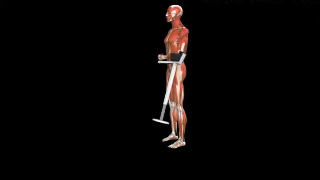 Наружная ротация плеча на рычажном тренажере External rotation Lever смотреть онлайн