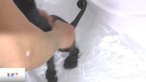 Как купаются хомячки и кошки/Новые приключения хомячка Хомки и кота