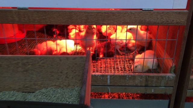 14-05-2023 смотреть онлайн