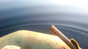 Нестандартная ситуация на рыбалке не произошла