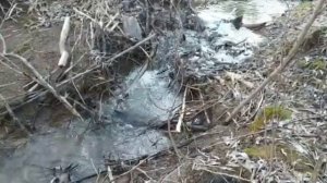 Село Колесниково