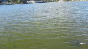 Рыбалка в Раменском рыбхозе "Гжелка"