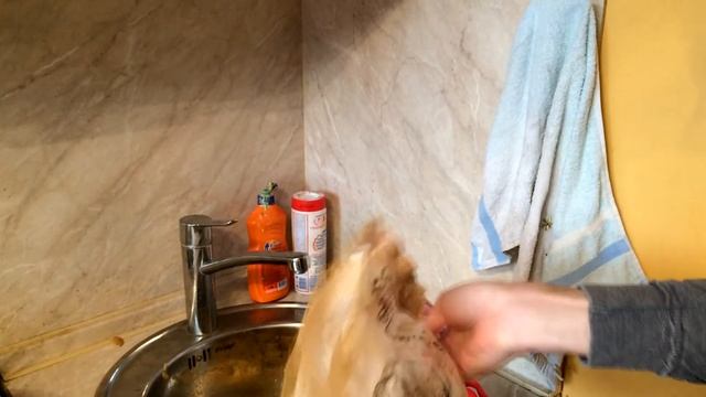 Гнилая картошка от СК "Коломенский" - НЕ ПОКУПАТЬ!!! смотреть онлайн