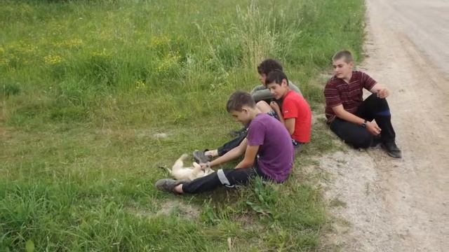 КВТ "Адмирал" смотреть онлайн