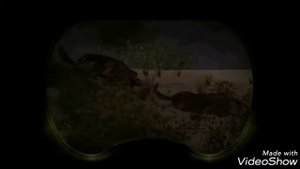 Карусель , карусель!(S.T.A.L.K.E.R)