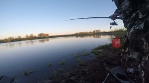 Ловля вимбы в проводку