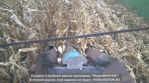 Уборка кукурузы в качанах."мини Комбайн v1.0"
