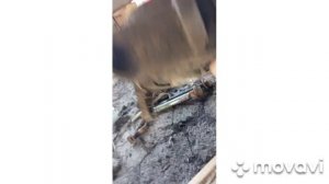 замена задней подушки двигателя форд Мондео 2