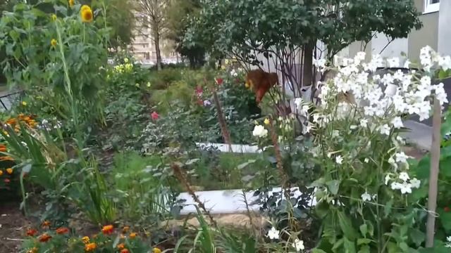 4 Жили в лесу, молились колесу смотреть онлайн