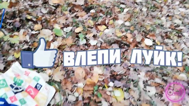 В лес !!!! За грибами, не смотря на холод :) смотреть онлайн