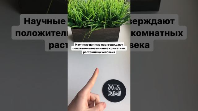 Как комнатные растения влияют на здоровье?