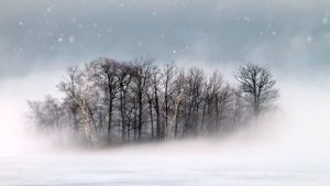 Утро туманное