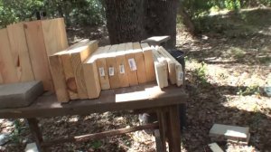 Сколько досок пробьёт пуля? | Разрушительное ранчо | перевод Zёбры