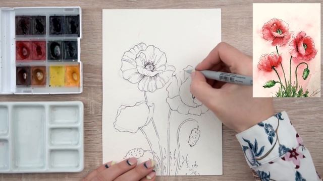 Как нарисовать маки. Уроки рисования. Скетчинг для начинающих.