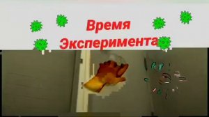 Любознайка: о микробах