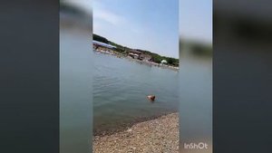 Пляж Мадагаскар Семилуки Воронежская областт