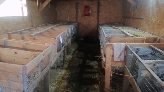 Кролиководство в вербное воскресенье смотреть онлайн