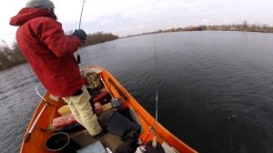 Ловля окуня на силиконовые приманки весной