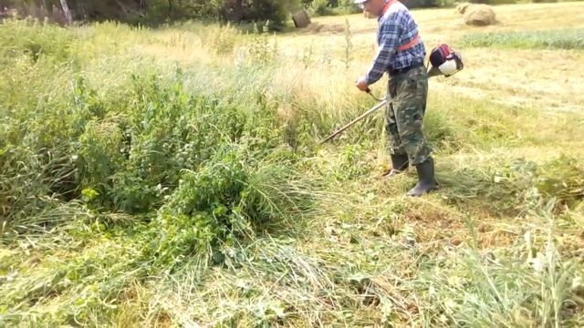 4 х тактная бензокоса ХONDA. Косим крапиву и бурьян рядом с домом. смотреть онлайн