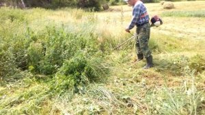 4 х тактная бензокоса ХONDA. Косим крапиву и бурьян рядом с домом.