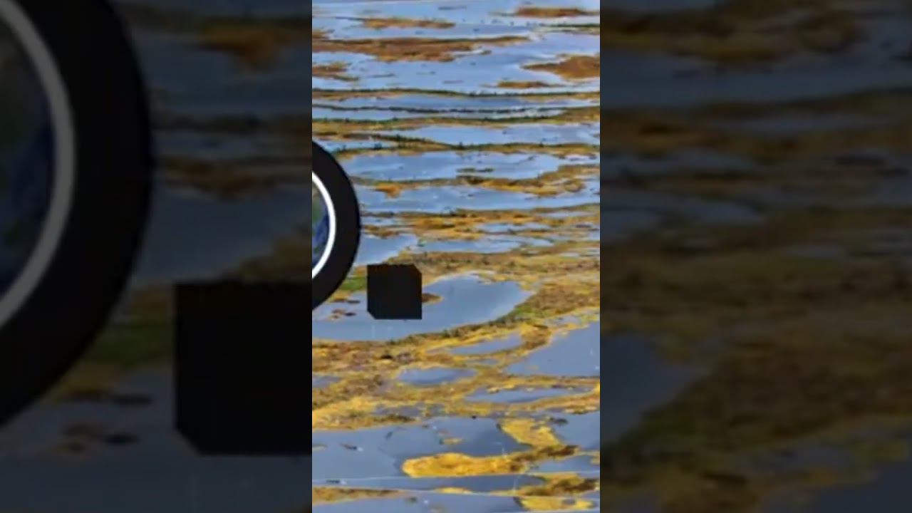 В Западной Сибири расположена крупнейшая болотная система северного полушария смотреть онлайн