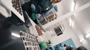 Мастер-класс о бизнесе на шоколаде и конфетах ручной работы | Chocology